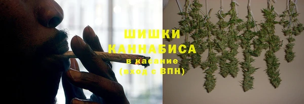 молекула духа Богородск